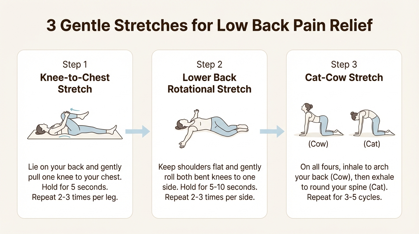 A workflow showing three of the best low back pain exercises for stretching: the knee-to-chest, lower back rotational, and cat-cow stretches.