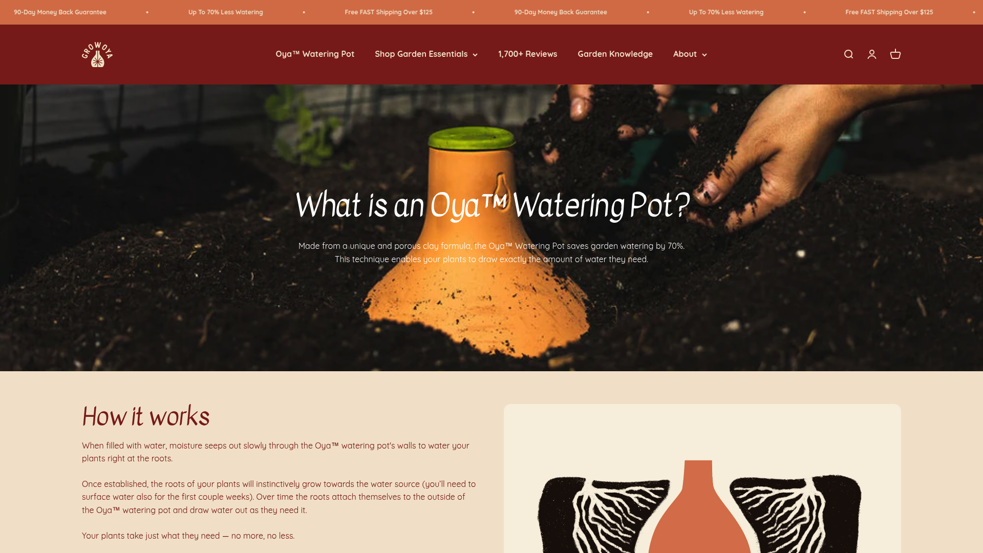 A porous clay Oya watering pot buried in a container to provide root-level irrigation.