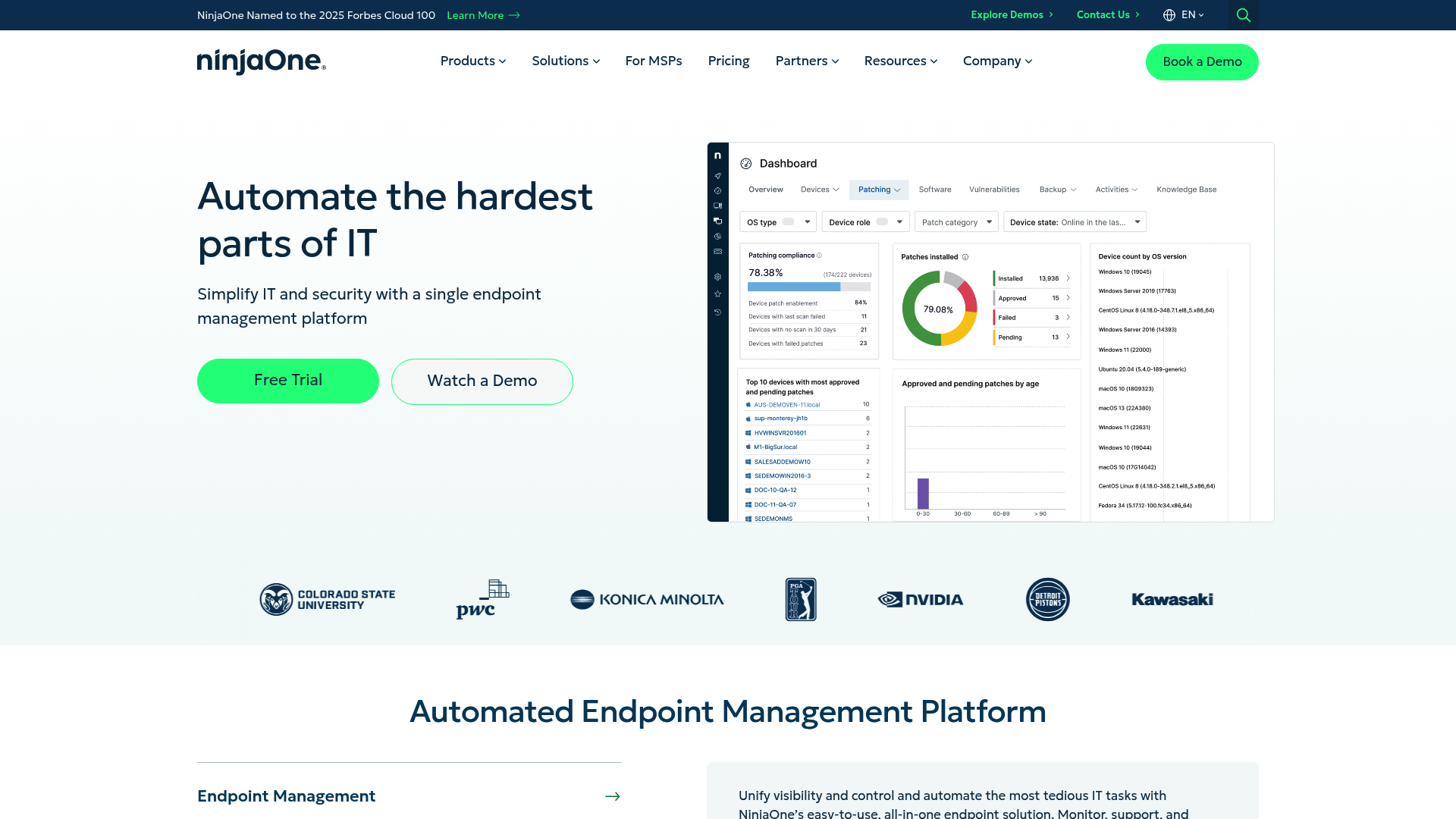 NinjaOne RMM platform for endpoint management and automation